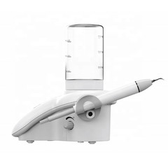 DTE D7 LED Dental Piezo Scaler Auto Water Supply Teeth Cleaning Vet Dentisty Use