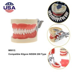 US Dental Overdenture/Implant/Orthodontic Typodont Ortho Training Teaching Model