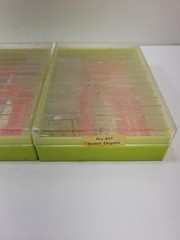 Vintage Paracraft Prepared Microscope Slides Sets 401 403 404 Sea Life Insect