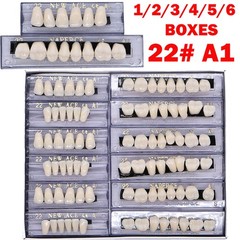 168PCS Acrylic Resin Denture Dental Upper Lower Shade A1 #22 Teeth Set USA