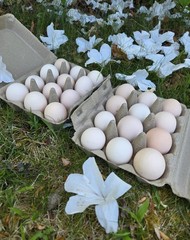 24 Ayam Cemani Hatching Eggs Fertile Fresh Rare Black Chicken Shipped Fast