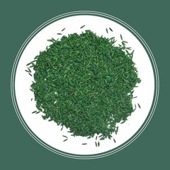 Pennington Kentucky 31 Tall Fescue Penkoted Grass Seed 3 lb 3 LB, Green