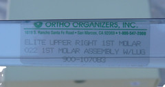 molar bands