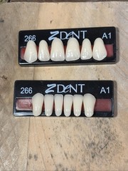 Z dent Synthetic Polymer False Teeth 2 Sets of 12 for 24 Total Size 266 267 A1