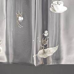 Hobonichi Eric by Shaun Tan for A5 Illustrated Clear Cover on Cover only Used