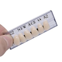 168Pcs Acrylic Resin Denture #22 Dental Upper Lower Shade A2 Teeth Set HOT