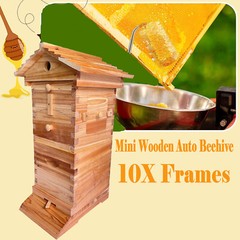 MIni 10X Beehive Bee hive Frames + Beekeeping Brood Fir Box & Bee Honey Filter