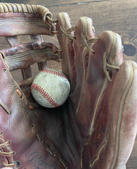 Rawlings SG 96 Premium Series Baseball/Softball Glove RHT Mark Of A Pro