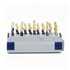 VITA Dental Resin Toothguide 3D Master with Bleached Shade Guide 29 Colors USA