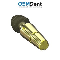Dentine Compressive Monoblock Fixture Titanium Sterile SLA Surface