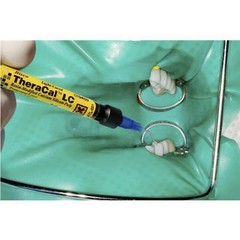 Calcium Silicate Cavity Liner 1gm Dental THERACAL LC Light Cure Resin Modified F