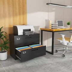 Metal Lateral File Cabinet 2 Drawer,Office Home Locking Filing Cabinet Organizer