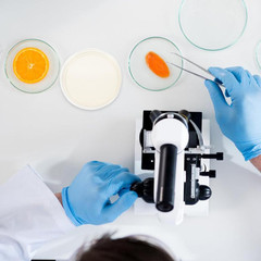 Potato Dextrose Agar Petri Dishes – Prepoured Potato Dextrose Agar (PDA) – for M