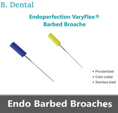 Dental Endo Barbed Broaches Endodontic Endoperfection – Color-Coded, 10/Pk USA