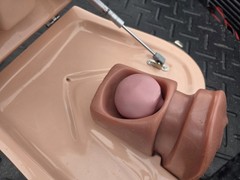 Pro Delphus Surgical Simulator For Urologic Procedures For Male & Female Anatomy