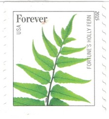 United States Postal Service Usps Ferns – 25