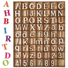Blulu 248 Pcs 1 Inch Wood Alphabet Letters approx. 1 x 1 inch, Color