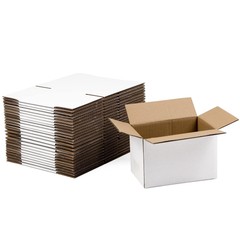 White Shipping Boxes 6x4x4 Inches Small Corrugated Cardboard Boxes, 25 Pack