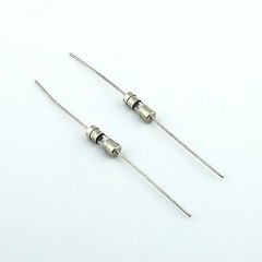 10pcs Glass Tube Fuse Axial Leads 3.6 x 10mm 1A 1Amps Fast Quick Blow 250V