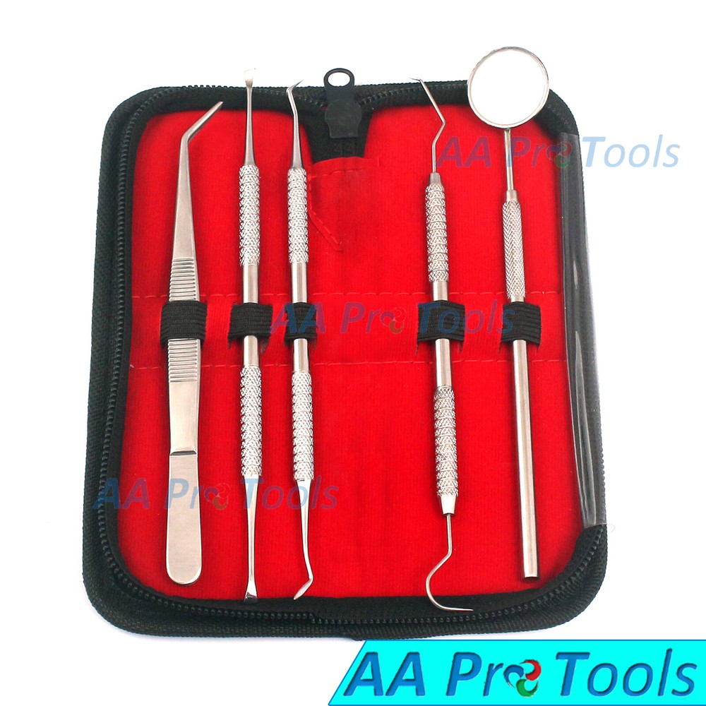 5Pcs/set Stainless Dentist Tools Hygiene Cleaning Tooth Dental Pick Kit Pr-456