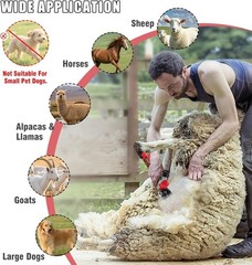 1000W Sheep Shears Electric Farm Livestock Haircut with Blades Professional Anim