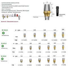 Titanium Pre-milled Straight Abutment 3.0mm GH Dental abutment fit Hiossen OSSTE