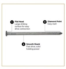 PRO-FIT8 in. 50 lbs. Hot Dipped Galvanized Common SpikeNail (200-Count)