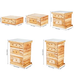 Bee Hive Langstroth Deep Beehive Kit 10 Frames Acrylic Bee Windows