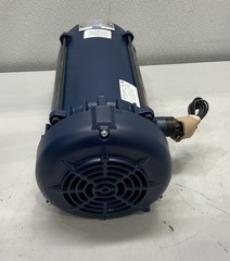 Leeson 1 HP 1765 RPM 56 C 3 Phase Explosion Proof Motor 119437.00