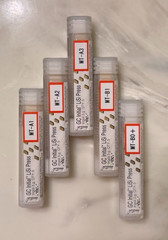 GC Intial Lisi Press Ingots