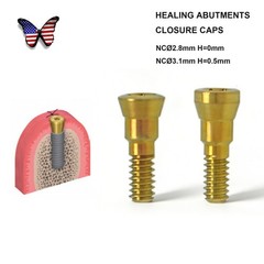 US Implant Accessories Healing Closure Abutment Fit Straumann ITI Dental Clinic