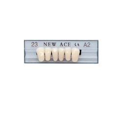 168Pcs/Box Acrylic Resin Denture #23 Dental Upper Lower Shade A2 Teeth Set US