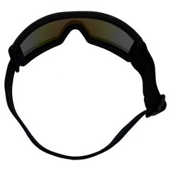 Birdz Wren Skydiving Snowboarding Motorcycle Riding Goggles Blue Mirror Lens