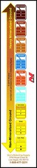 GPX5000 GPX4800 Minelab Metal Detector Doc’s Quick Start Guide