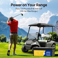 48V 100Ah LiFePO4 Battery with BMS Protection for Marine Off-Grid Power Golf Car