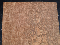 Eucalyptus Burl Raw Wood Veneer Sheet 15 x 18 inches 1/42nd 7659-33