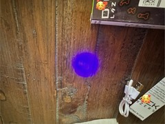 Official D Lazer Laser Pointer Laser Di*k Lazer Gag Black Light Flash Light 1