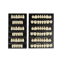 3*28Pcs/Set A1 A2 A3 Shade Dental Full Mouth Synthetic Resin Teeth Denture