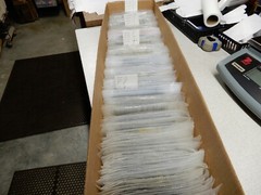 Allen Bradley 1/4 Watt Resistor Packs 50 Resistors Many Values You Choose $15 FS