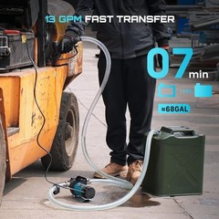 SEESII 12V DC Fuel Transfer Pump 200W 13 GPM for Diesel, Kerosene, with Nozzle