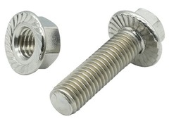Dsnaduo Stainless Steel Flange Screws, Bolts, Exhaust One Size, Silver