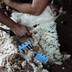 Ergonomic Multi-Purpose Sheep Trimmer Guide for Electric Wool Shears – 2pcs