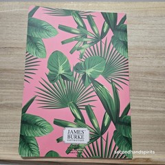 James Burke Notebook Journal Lined 7 x 10 in. Pink & Green W Pens And Holder