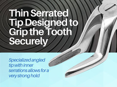 Dental Extraction Forceps (Upper Bayonet for Roots #51) ARTMAN