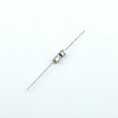 10pcs Glass Tube Fuse Axial Leads 3.6 x 10mm 1A 1Amps Fast Quick Blow 250V