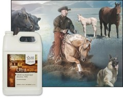 UltraCruz Isopropyl Alcohol, 70%, 1 Gallon