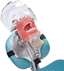 Dental simulator manikin phantom head medical practice model / dentist student