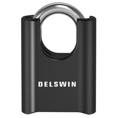 DELSWIN 4-Digit Combination Lock Outdoor Padlock – 1 Piece, Obsidian Black