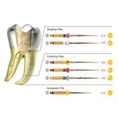 Limas rotatorias NITI para endodoncia dental Uso del motor Gold Taper SX-F3 25mm
