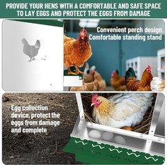 Chicken Nesting Box 10 Compartment Metal Easy Collection & Easy Cleaning W/ Legs